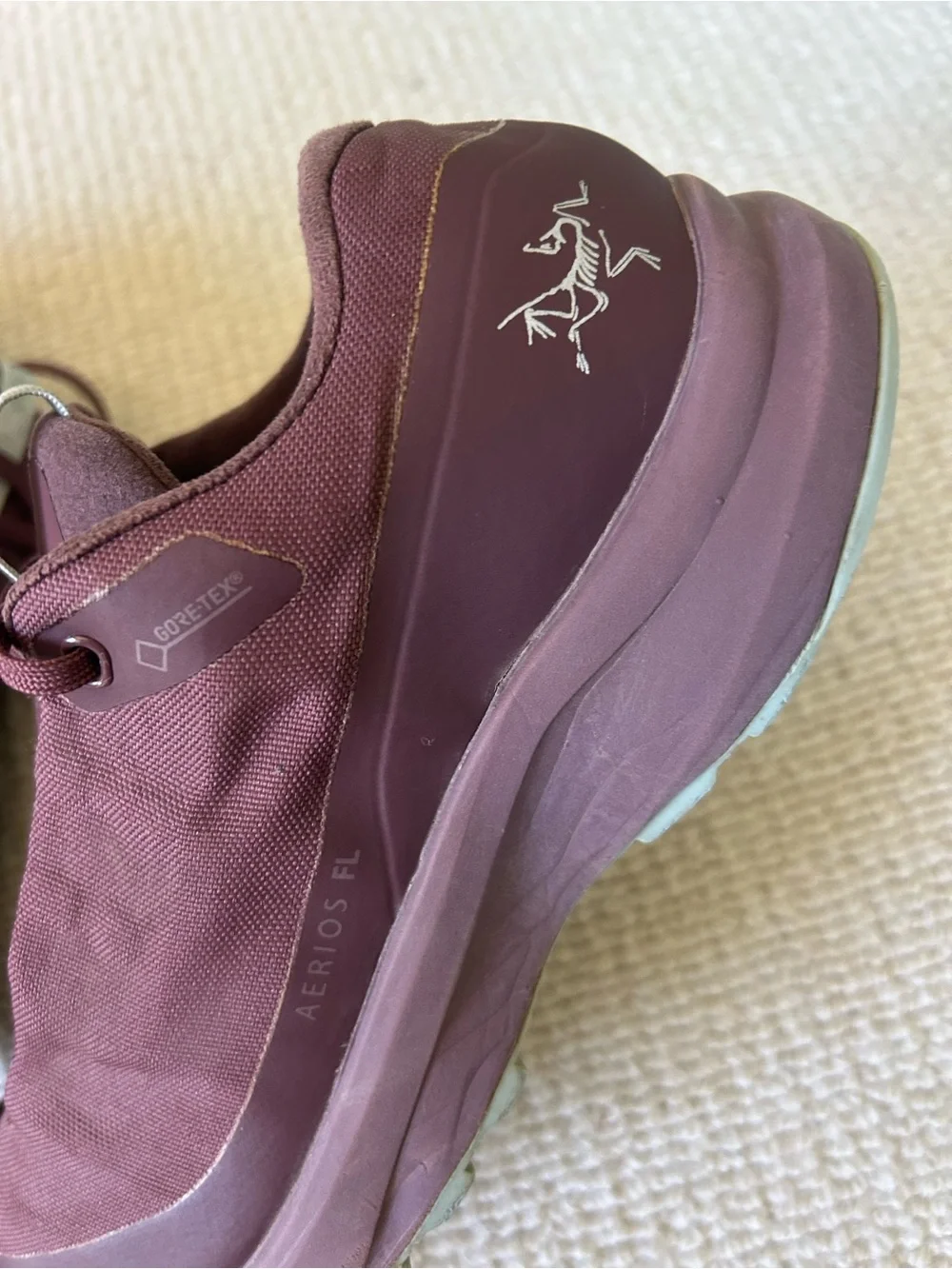 Arc'teryx Men's Maroon Low-Profile Trail Sneakers